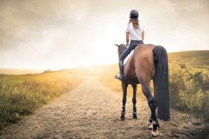 Los beneficios de montar a caballo en una finca rural